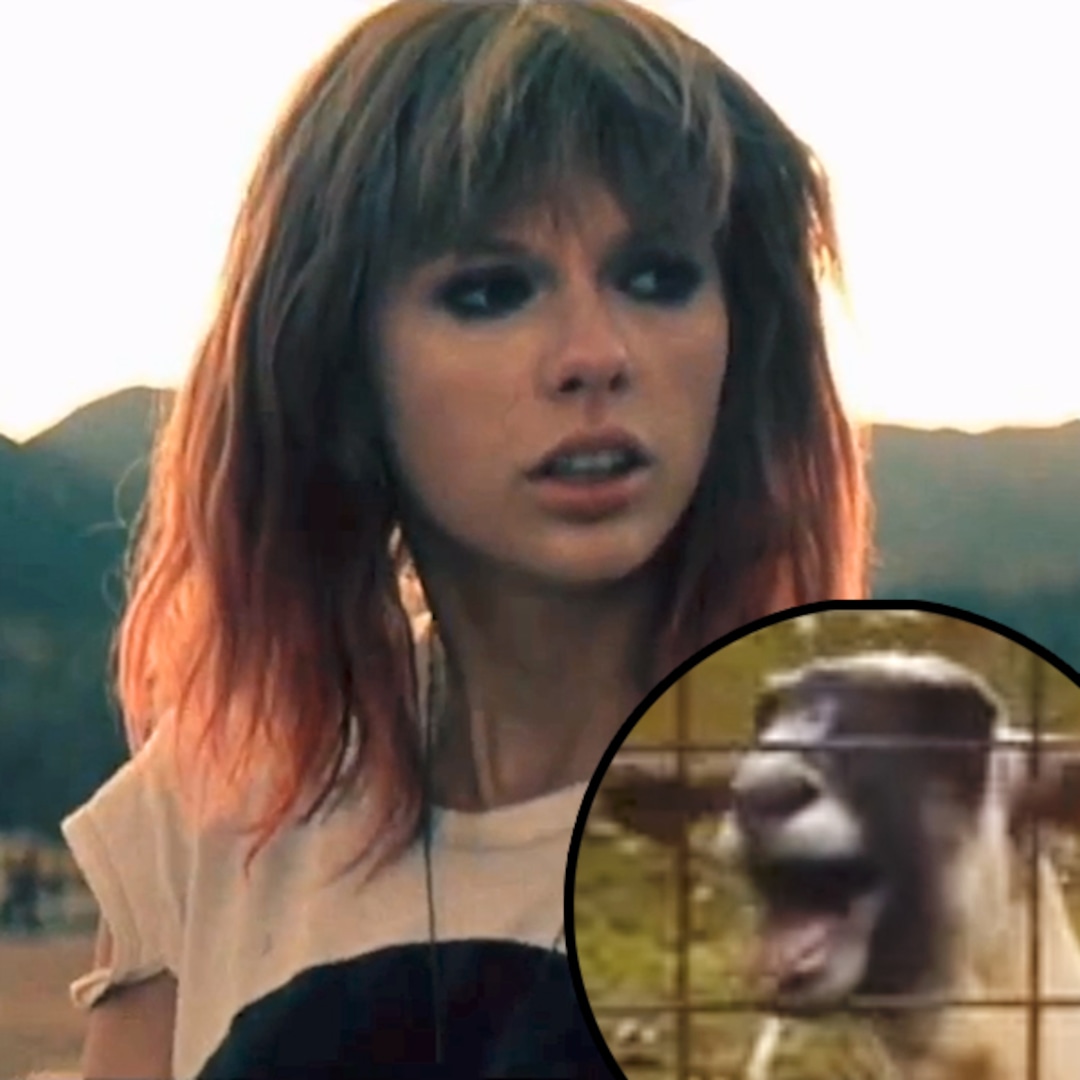 Taylor Swift Gets Remixed by a Goat! E! Online Taylor Swift Gets Remixed by a Goat! E! Online